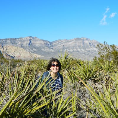 I love the desert! Red Rock Canyon is a short drive from Las Vegas