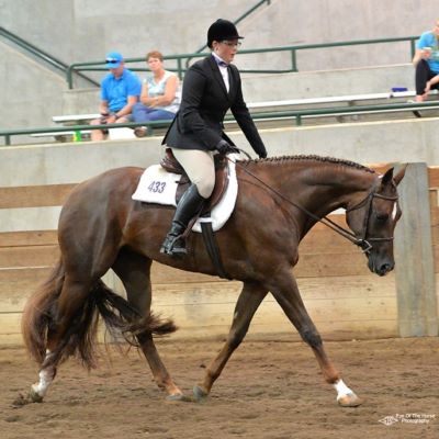 I'm a competitive equestrian